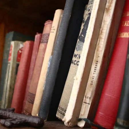 Via Dell'astrologo 住宿加早餐酒店 科森扎